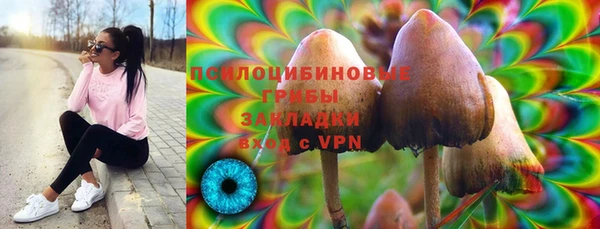 твердый Армянск